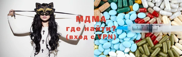 прущие грибы Бронницы