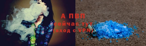 прущие грибы Бронницы