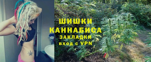 прущие грибы Бронницы