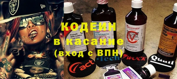 прущие грибы Бронницы