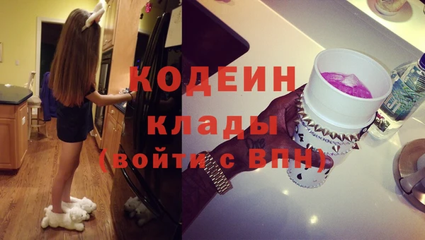 прущие грибы Бронницы