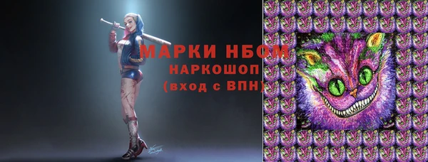 прущие грибы Бронницы