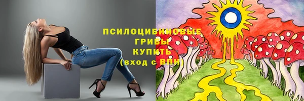 не бодяженный Верхний Тагил